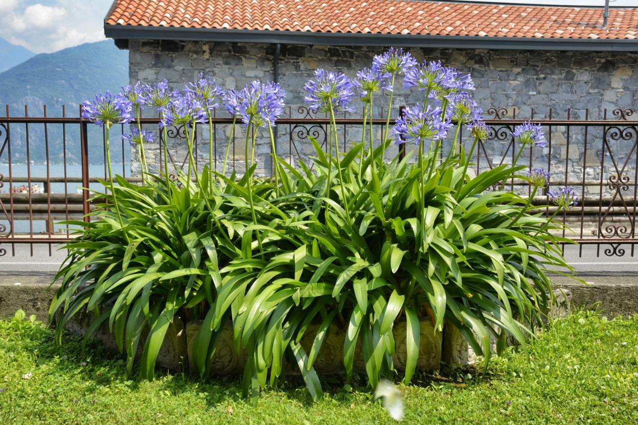 Apartament Casa Giardino Fiorito San Siro  Zewnętrze zdjęcie
