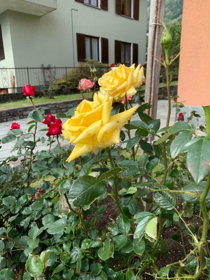 Apartament Casa Giardino Fiorito San Siro  Zewnętrze zdjęcie